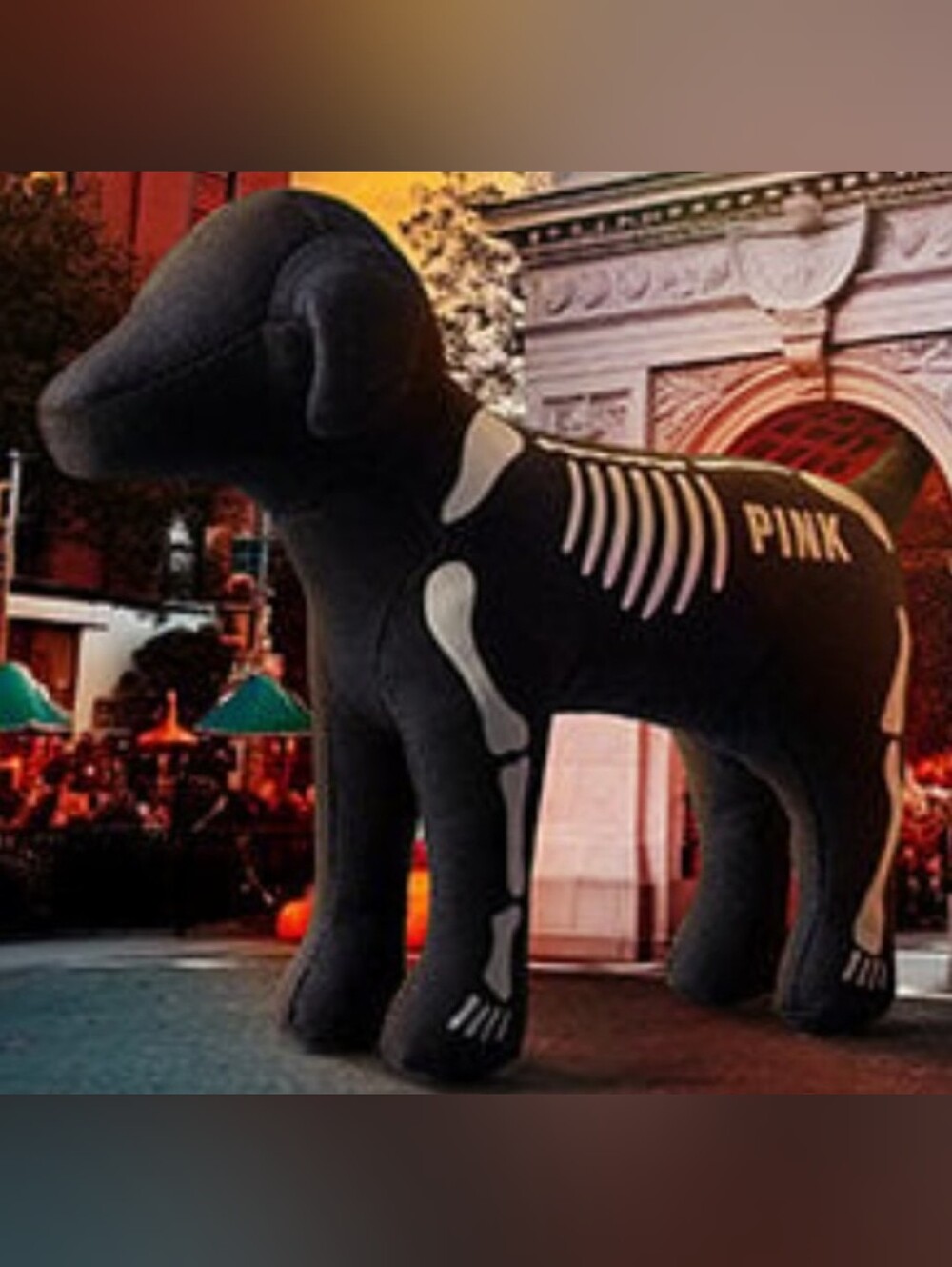 PINK Victoria's Secret Black Dog Skeleton - Picture 4 of 5